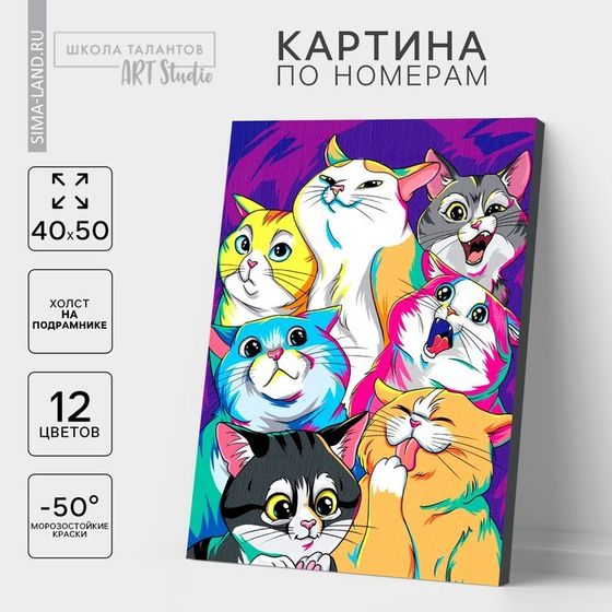 Картина по номерам на холсте с подрамником «Яркие котики», 40 х 50 см