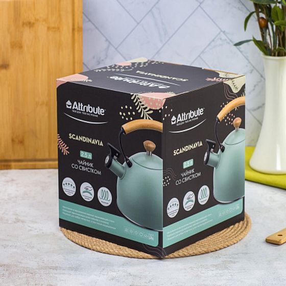 Чайник SCANDINAVIA 2.5л