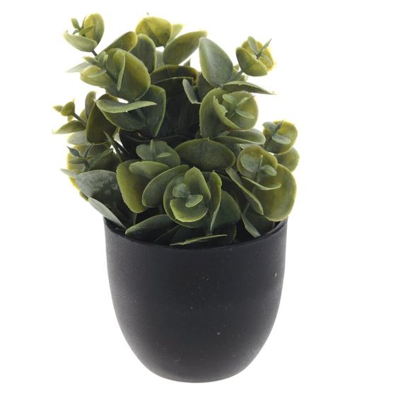 Цветочная композиция, L8 W8 H14 см, 3в.