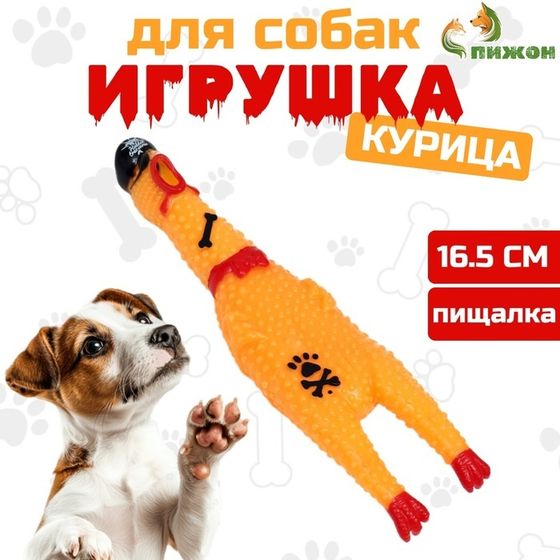 Игрушка пищащая &quot;Курица пират&quot; для собак, 16,5 см, жёлтая