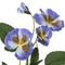 Цветок искусственный &quot;Фиалка&quot;, L14 W8 H38 см