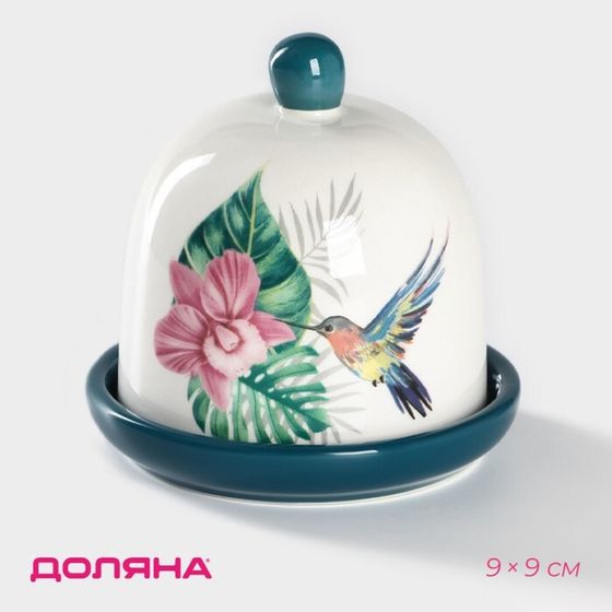 Лимонница Доляна «Тропики», 9×9 см, доломит, белая