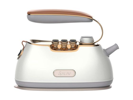 SALAV IS-900 Retro Edition Duopress Steamer and Iron Pearl