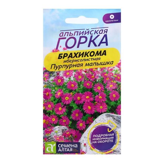Семена Брахикома &quot;Пурпурная малышка&quot;, ц/п,  0,05 гр.