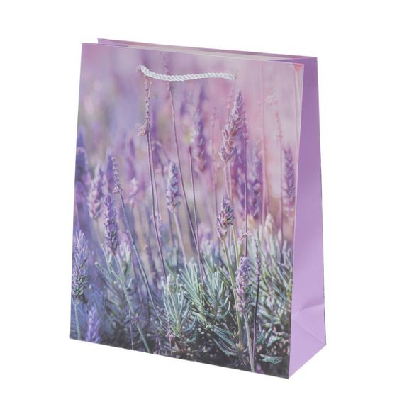 Пакет подарочный (бумага 210г/м2, блок микс 12шт), L30 W12 H41,5 см, 4в.