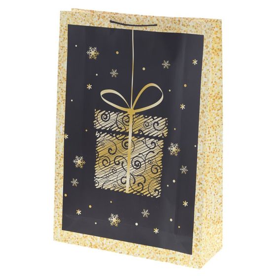 Пакет подарочный (бумага 210г/м2, блок 12шт), L50 W0,8 H72 см, 2в.