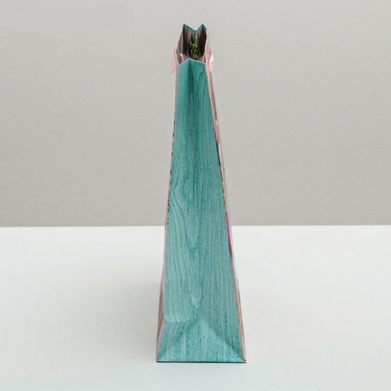 НАБОР 5 ШТУК - Пакет ламинированный вертикальный «Поздравляю!», ML 23 × 27 × 11,5 см