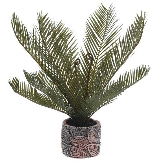 Цветочная композиция "Пальма", L37 W33 H45 см, 1 штука, дизайн микс