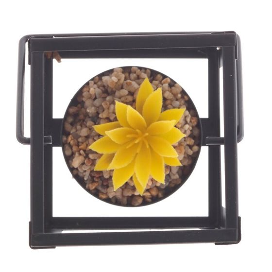 Цветочная композиция &quot;Суккулент&quot;, L8,5 W8,5 H10,5 см