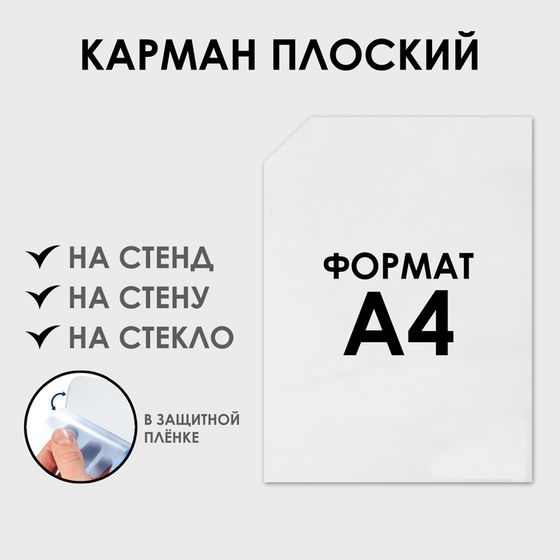 Карман плоский А4, без скотча, с уголком, ПЭТ 0,5 мм В ЗАЩИТНОЙ ПЛЁНКЕ