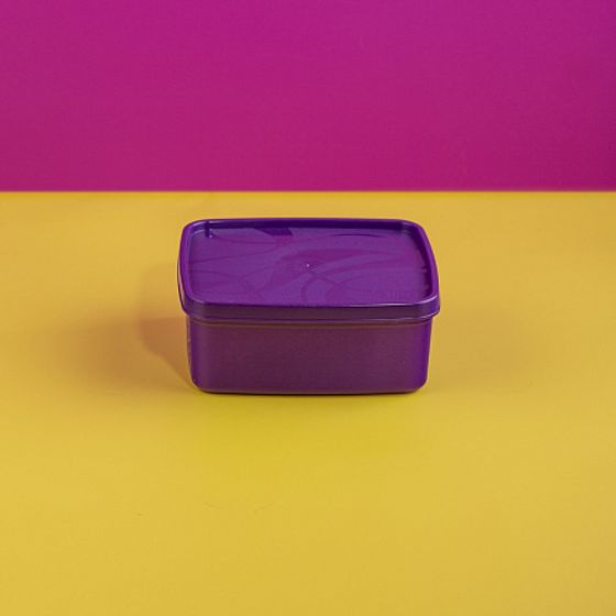 Контейнер для заморозки ALASKA 0.65л фиолетовый