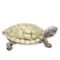 Фигурка декоративная &quot;Черепаха&quot;, L9 W6,5 H4 см