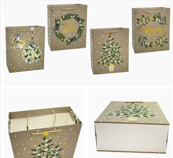 Пакет подарочный (бумага 210г/м2, блок 12шт), L18 W10 H23 см, 4в.