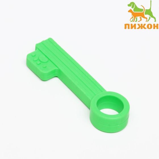 Игрушка жевательная &quot;Ключик&quot;, TPR, 10 см, зелёная