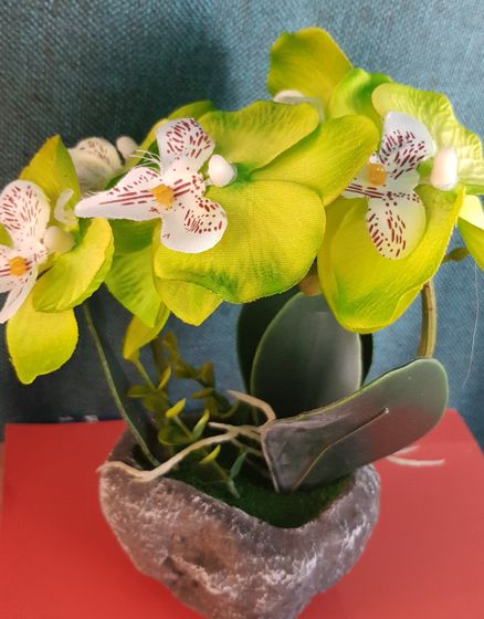 !09 Композиция цветочная L18 W18 H23 см.