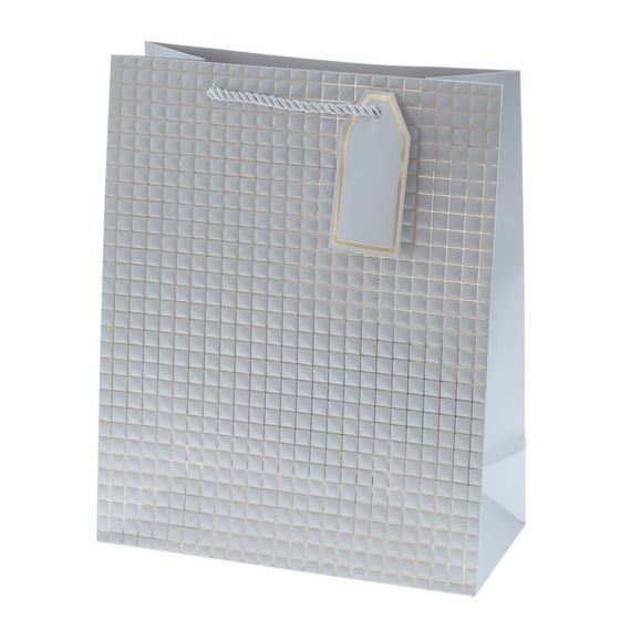 Пакет подарочный (бумага 210г/м2, блок 12шт), L26 W12 H32 см, 14в.