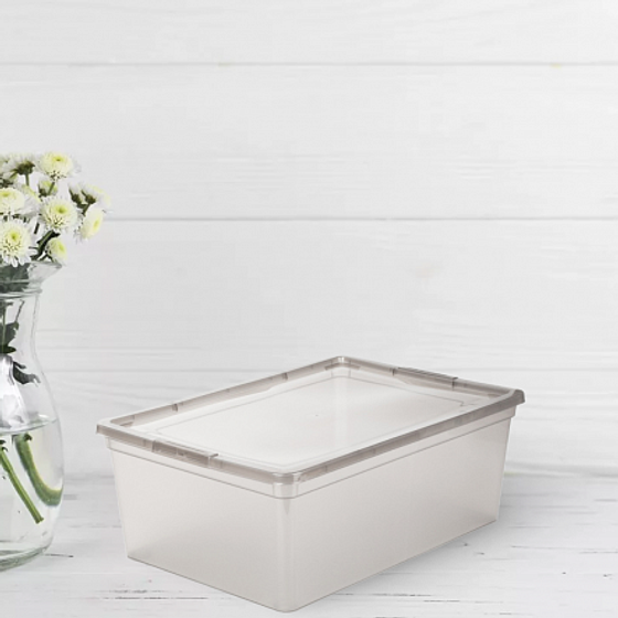 Коробка для хранения MYSTERY 10л