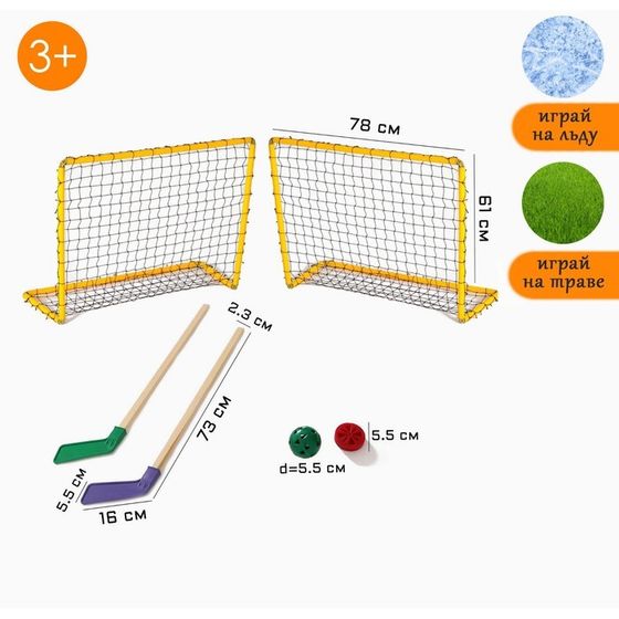 Набор для игры в хоккей (клюшка 2 шт, ворота 2 шт, шайба, мяч)
