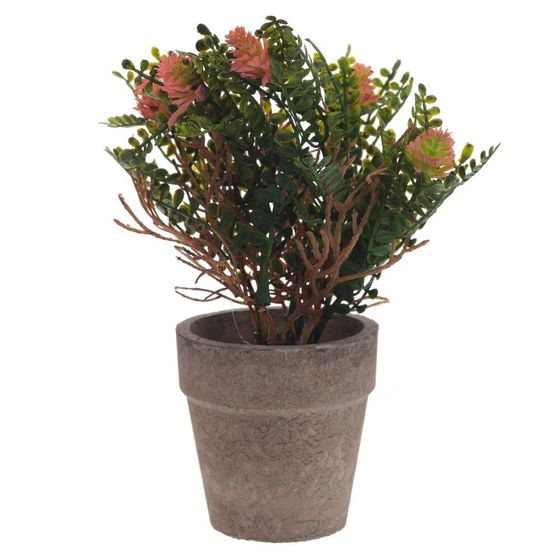 Цветочная композиция, L9 W9 H18 см, 5в.