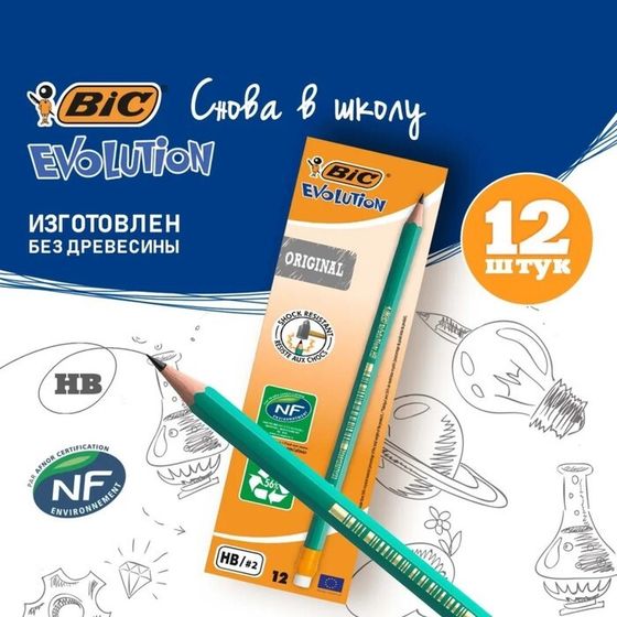 Карандаш чернографитный (простой) НВ, BIC Evolution, заточенный, пластиковый, c ластиком, шестигранный, зеленый корпус