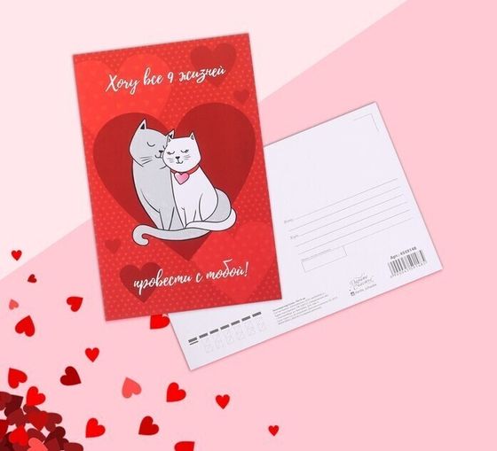 !09 Почтовая карточка (набор 5 штук) «Любовь», коты, 10 х 15 см. 