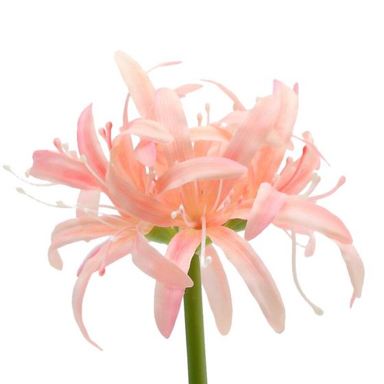 Цветы искусственные &quot;Букет&quot;, L11 W11 H52 см