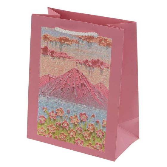 Пакет подарочный (бумага 210г/м2, блок 12шт), L18 W10 H23 см, 4в.