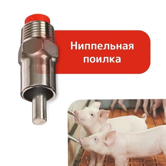 Поилка ниппельная для свиней, диаметр резьбы 1/2&quot;, металлическая , Greengo