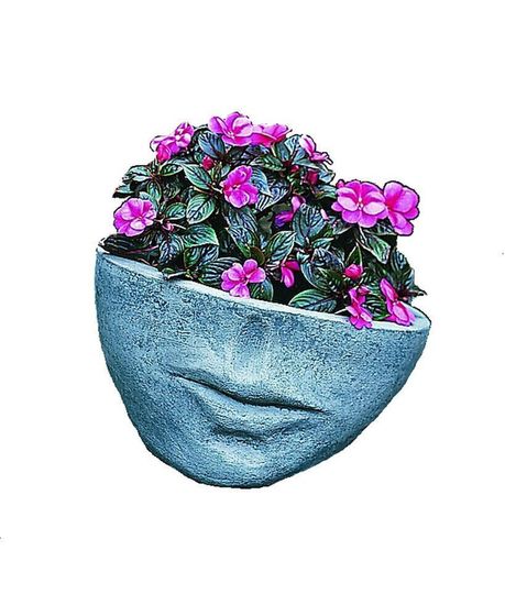 Faccia Planter