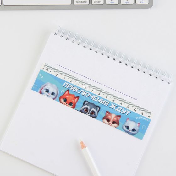 !09 Набор школьных принадлежностей (15 предметов): линейка - 2 шт.,  треугольник- 2 шт., транспортир, дырокол, ластик  - 3 шт., часы, держатель - 4 шт., точилка