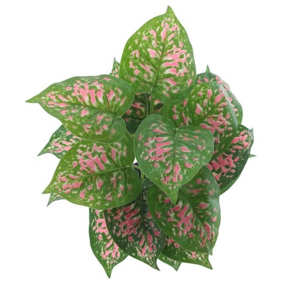 Цветочная композиция &quot;Каладиум&quot;, L25 W25 H33 см