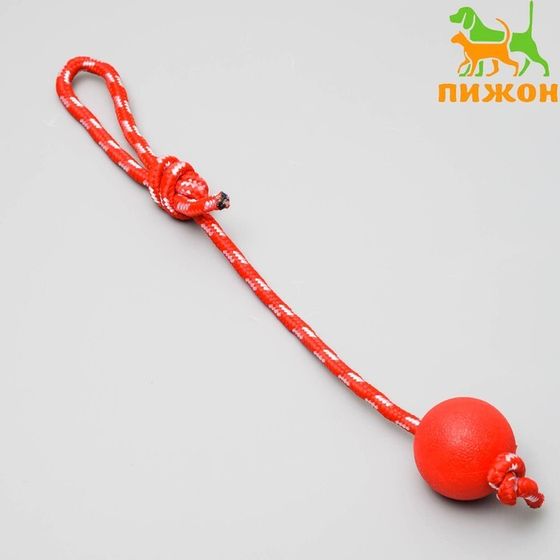 Игрушка &quot;Шарик на веревке&quot;, 5,5 см, каучук, микс цветов