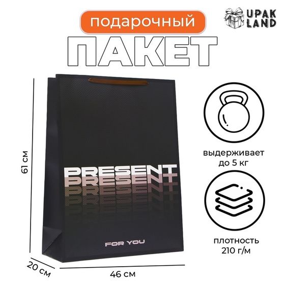 Пакет ламинированный  &quot;Present&quot;, XXL  46 х 61 х 20 см