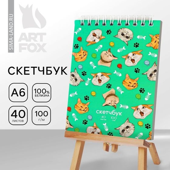 Скетчбук «Коты», А6, 40 листов, 100 г/м