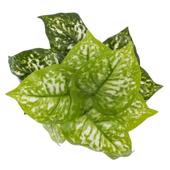 Цветочная композиция, L25 W25 H30 см, 5в.