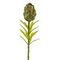 Цветок искусственный "Артишок", L9 W9 H55 см, 2в.