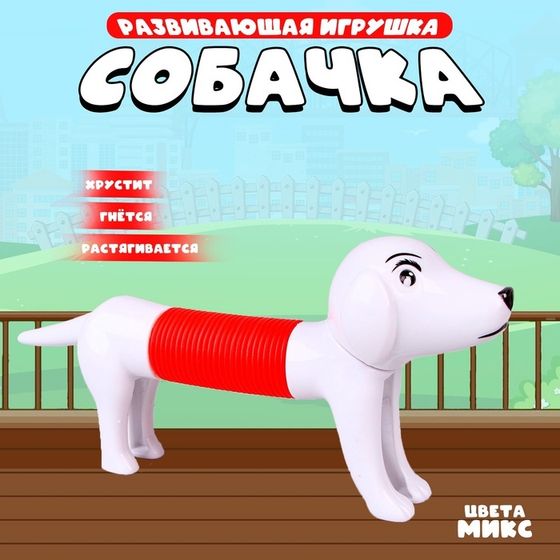 Развивающая игрушка «Собачка», цвета МИКС