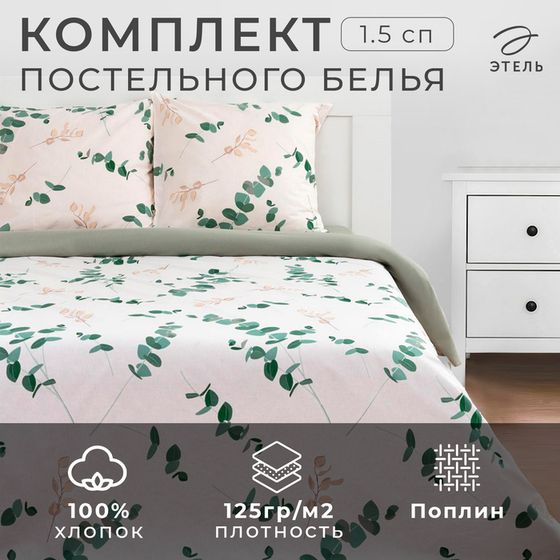 Постельное белье Этель 1.5 сп «Эвкалипт» (вид 1) 143*215 см,150*214 см, 70*70 см 2 шт