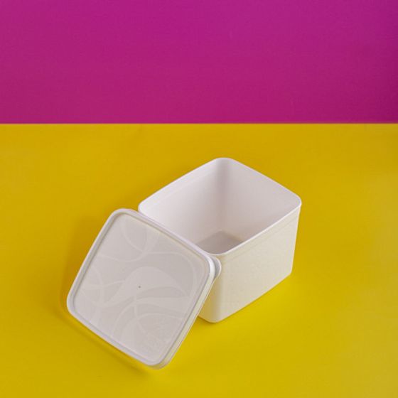 Контейнер для заморозки ALASKA 1.2л белый