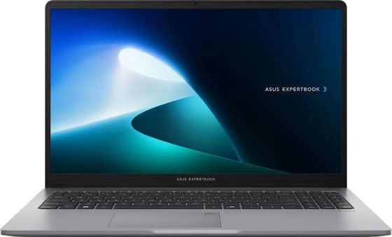 Ноутбук 15.6&quot; Asus ExpertBook P1 P1503CVA-S70347W серый i3-1315U 8Gb/256Gb UHDGr W11H (90NX0881-M00CF0)
