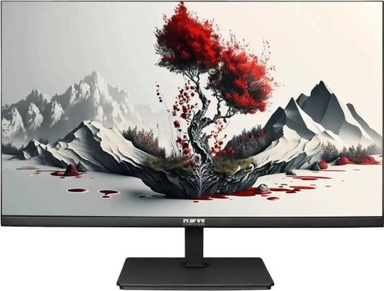 Монитор 23.8&quot; RDW Computers RDW2401K черный IPS 1920x1080 120Гц (2401K/F08В3120V2A1)