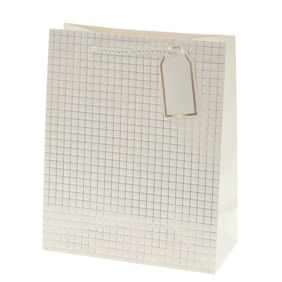 Пакет подарочный (бумага 210г/м2, блок 12шт), L26 W12 H32 см, 14в.