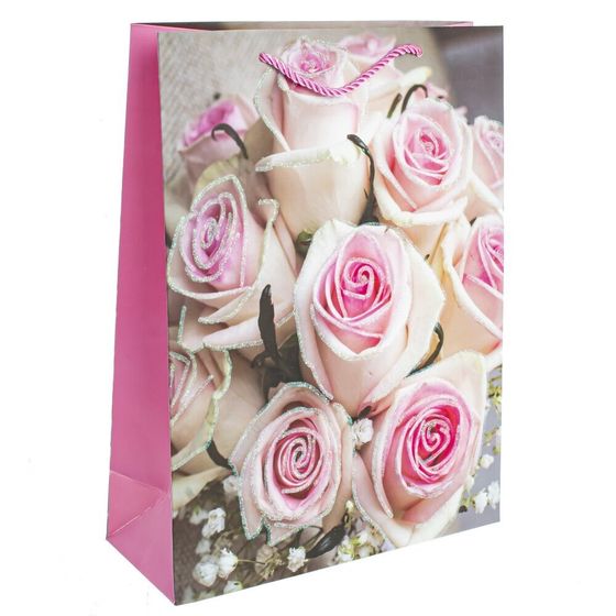 Пакет подарочный (бумага 210г/м2, блок микс 12шт), L26 W10 H32 см, 4в.