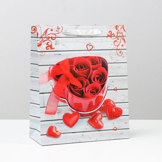 !09 Пакет (набор 3 штуки) ламинированный 26 x 32 x 12 см.