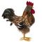 Фигурка декоративная &quot;Петух&quot;, L19 W12 H28,5 см