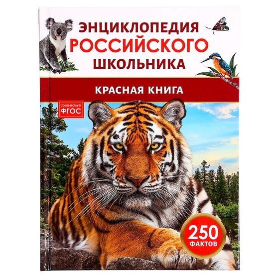 Энциклопедия российского школьника «Красная книга», 250 фактов, ФГОС