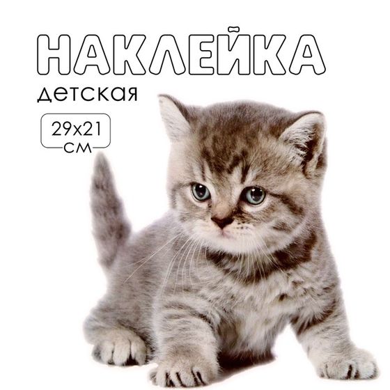 Наклейка 3Д интерьерная Котик 29*21см