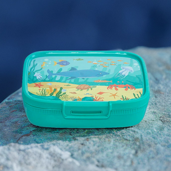 Контейнер пищевой SNAP BOX голубой 1.3л прямоугольный