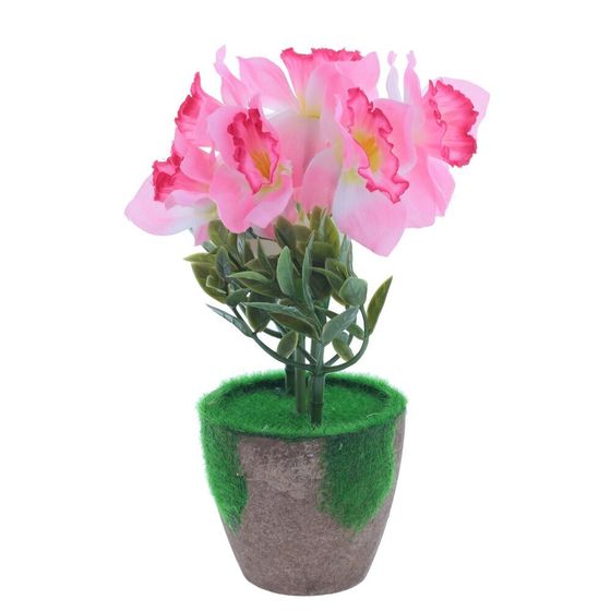 Цветочная композиция, L12 W12 H22 см, 4в.