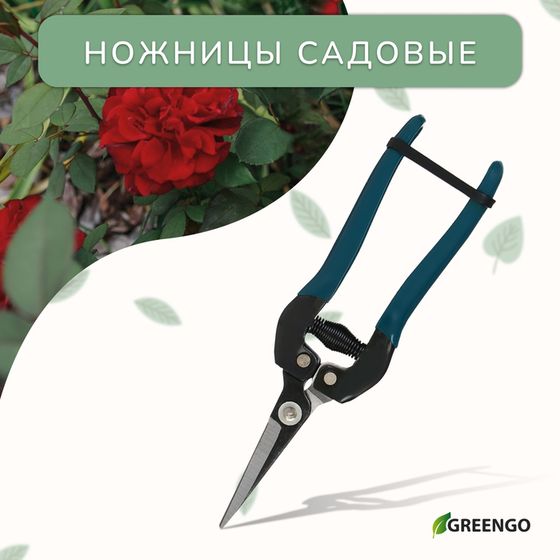 Ножницы садовые, 8&quot; (20 см), с пластиковыми ручками, Greengo